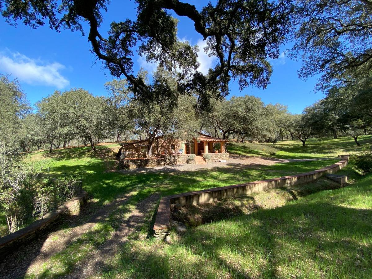 Valle Del Arroyo Casas Rurales - B&B - Solo Adultos Cortelazor Zewnętrze zdjęcie